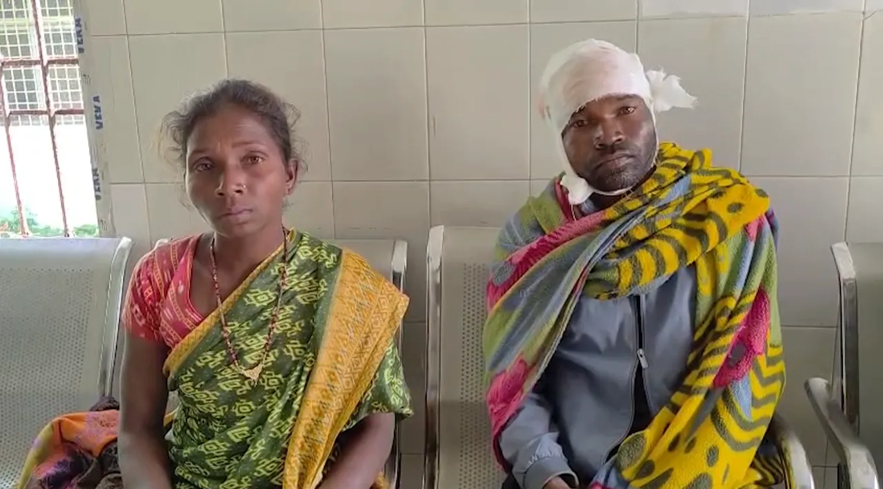 Odisha woman fights off six bears, gives husband new lease of life