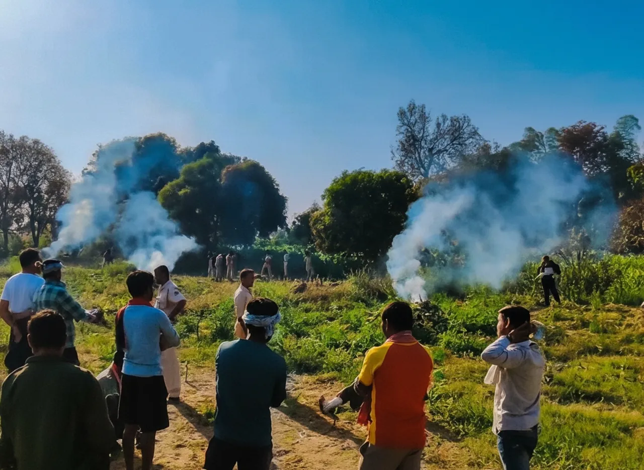 Opium plants worth over Rs 10 crore destroyed in Odisha; one arrested