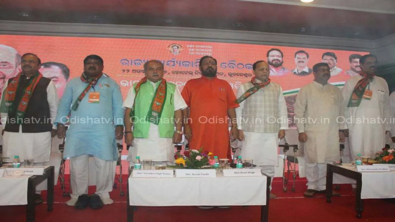 Mission 2019: BJP puts top central leaders in charge of Odisha LS seats
