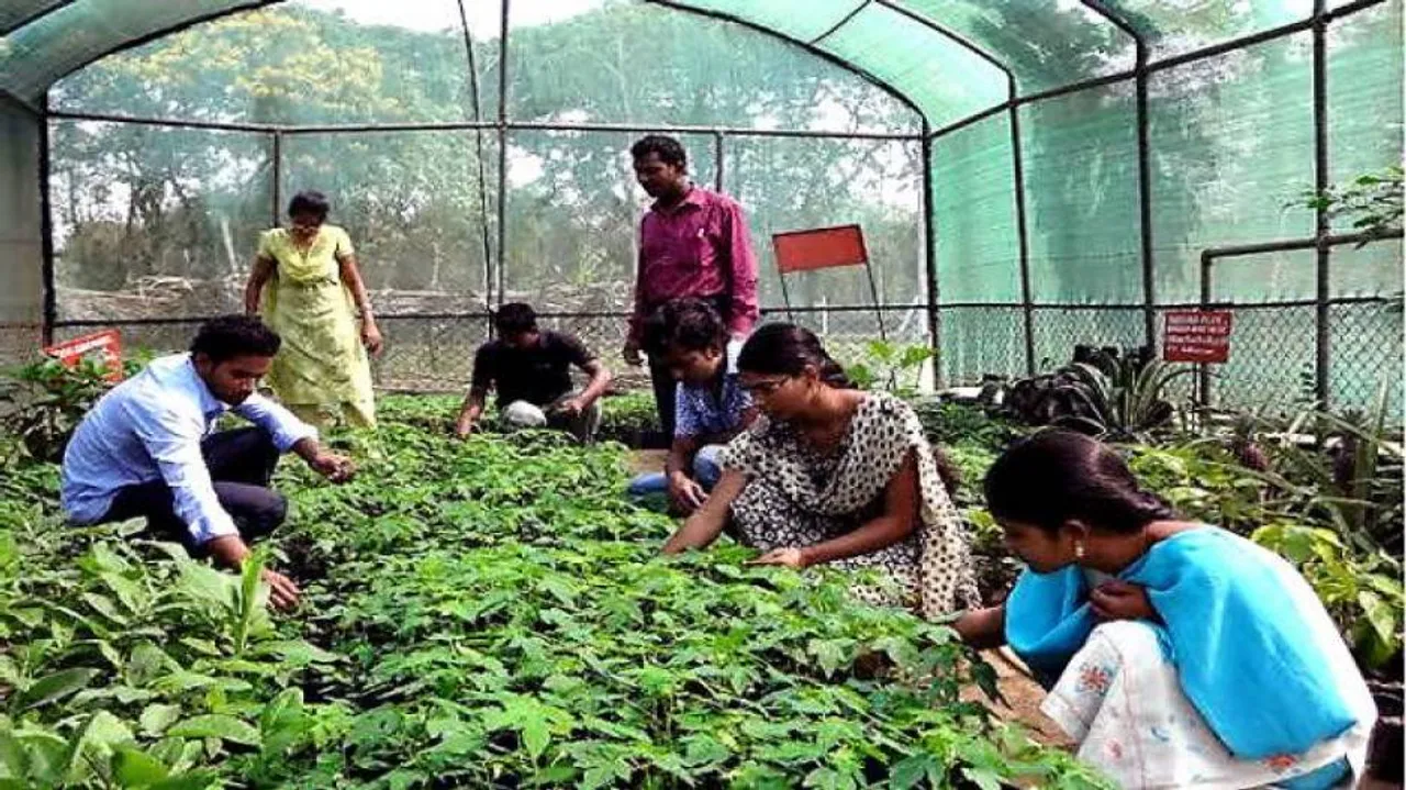 Two MoUs signed to push agri-entrepreneurship in Odisha