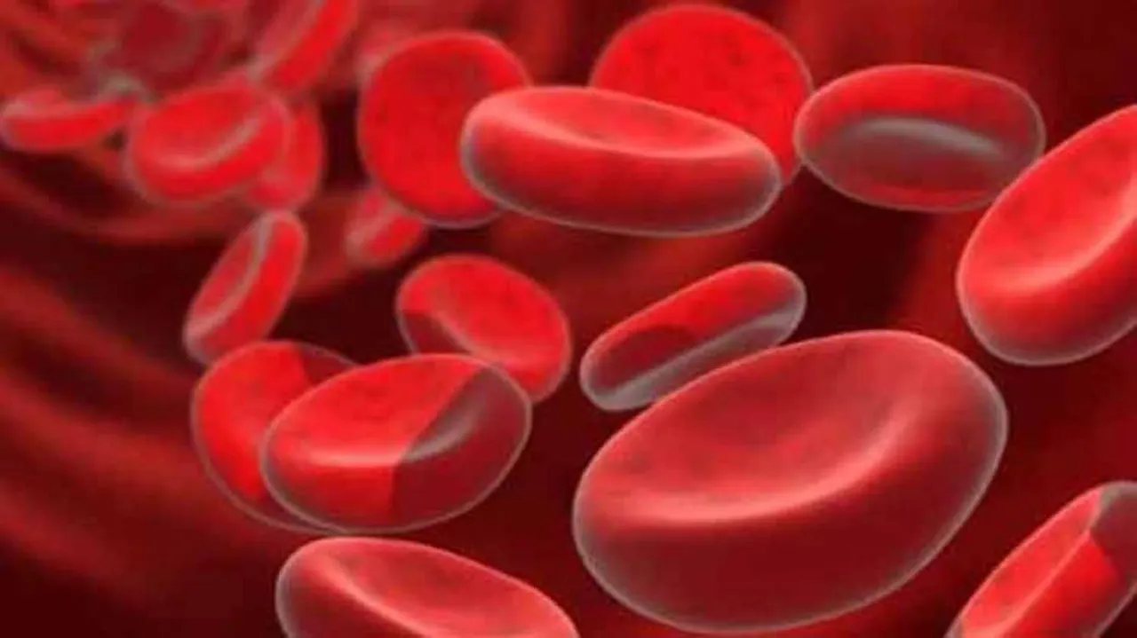 Anaemia a health problem in all states except Kerala