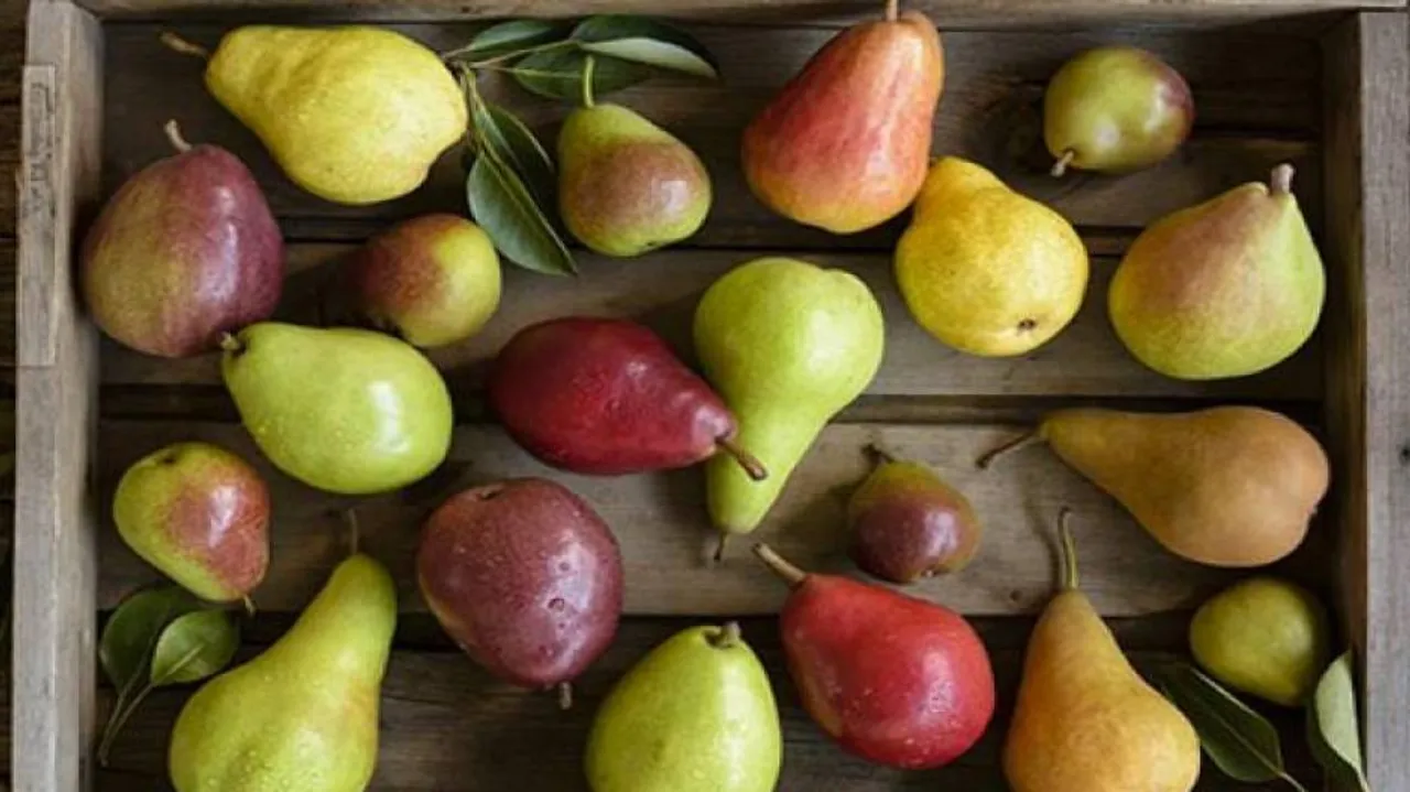 Popping Antioxidants Won't Improve Semen Quality