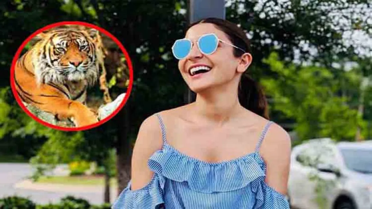 Anushka Sharma promotes tiger conservation