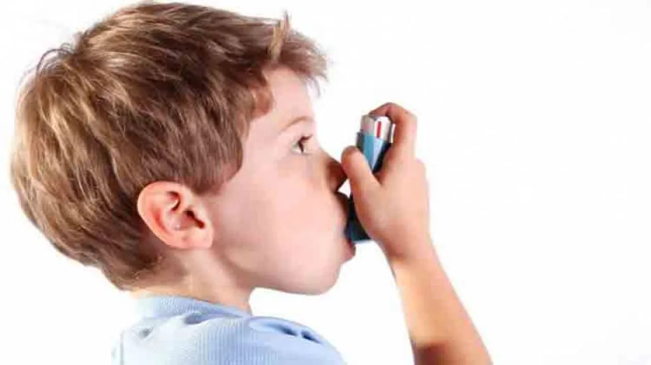 Eating fish reduces childhood asthma: Study