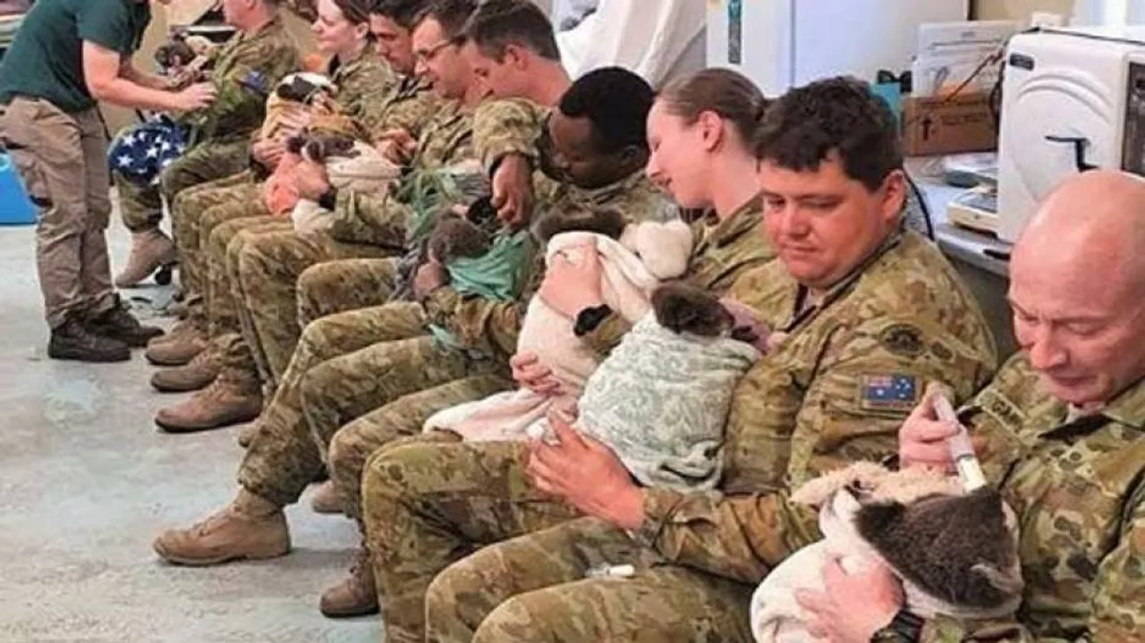 Aussie Soldiers Cuddle, Feed Koalas Saved From Bushfires