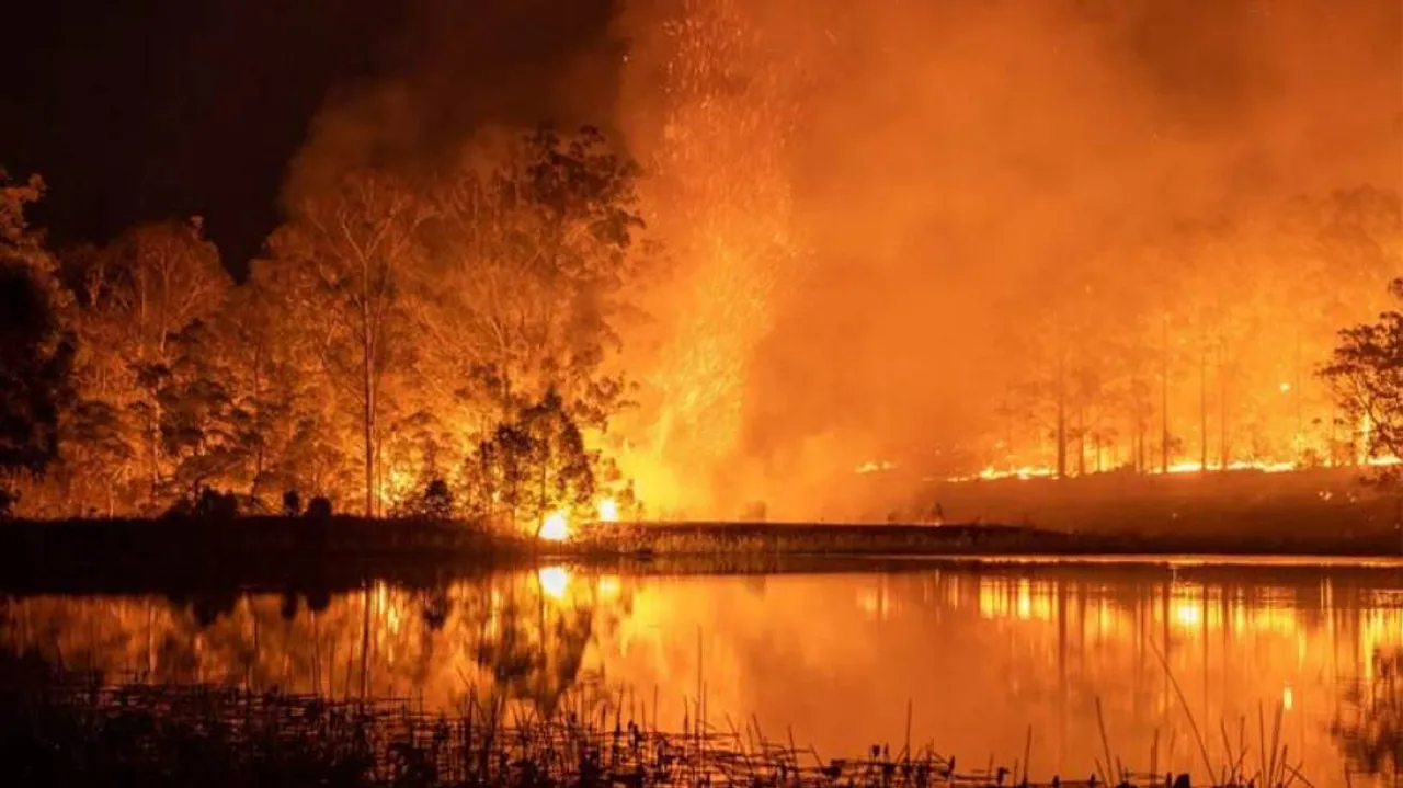 Australian Bushfires: Over 3 Billion Animals Killed & Displaced
