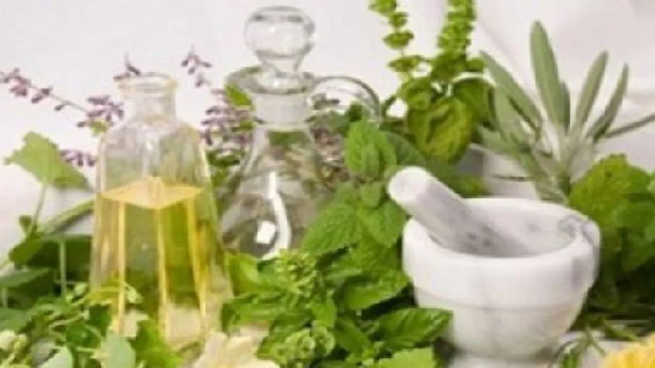 Modern Health Care And Traditional System Can Complement Each Other For Treating Covid: Ayurveda Experts
