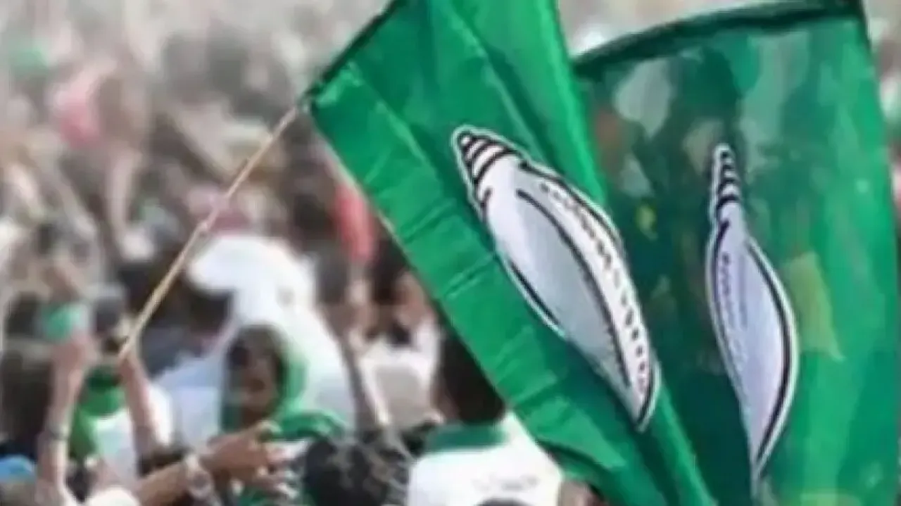 BJD