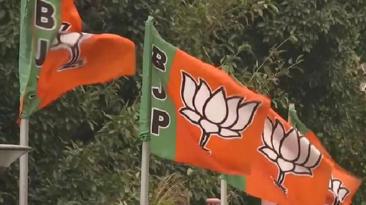 Bihar Polls: No Shahnawaz, Rudy, Only 2 Women Among BJP's Star Campaigners