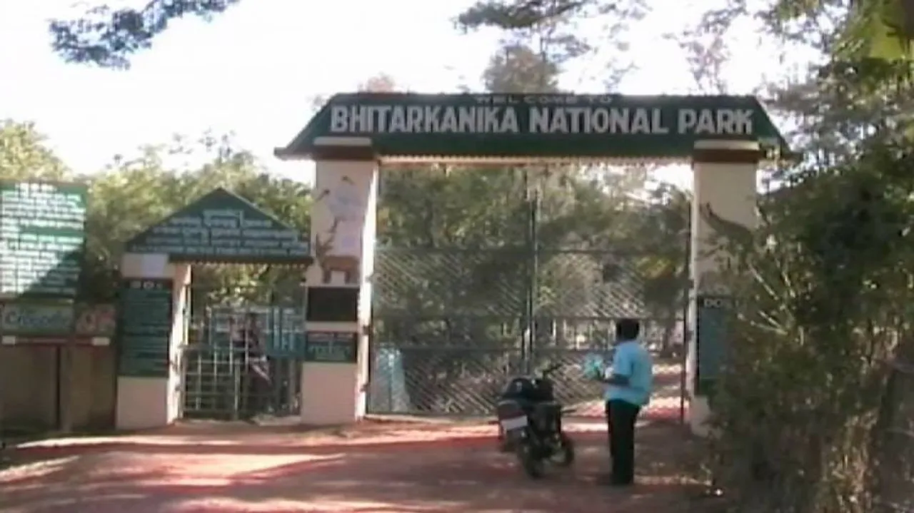 Low footfall of foreigners in Bhitarkanika due to registration process: tour operators