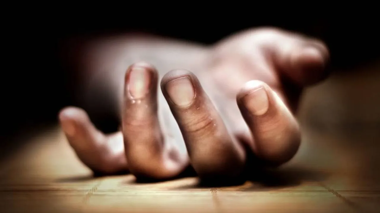 Two Bangladeshis Killed During Cattle Smuggling Bid Along Border: BSF