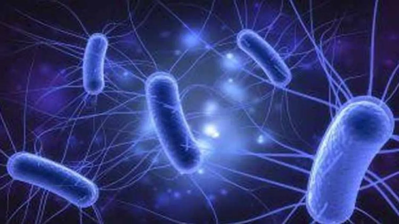 Israeli Scientists Develop Bacteria Which Eat Carbon Dioxide