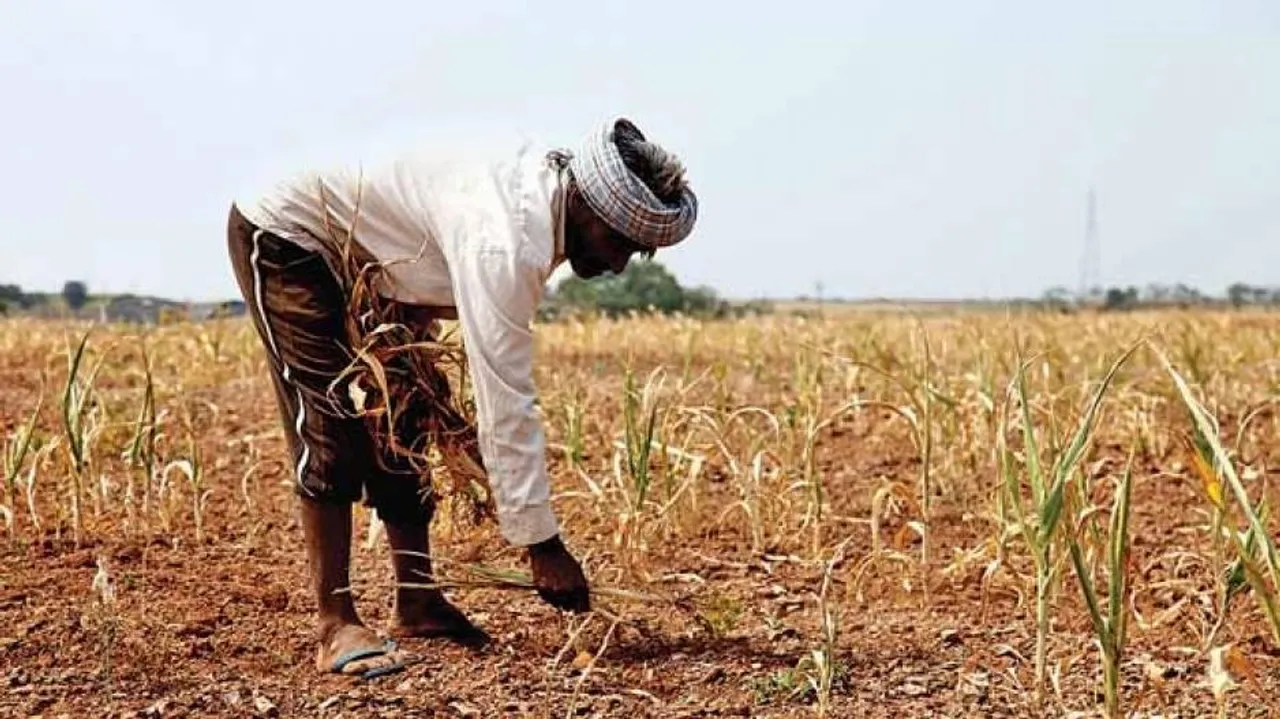 Farmers revive barter of labour practice post demonetisation