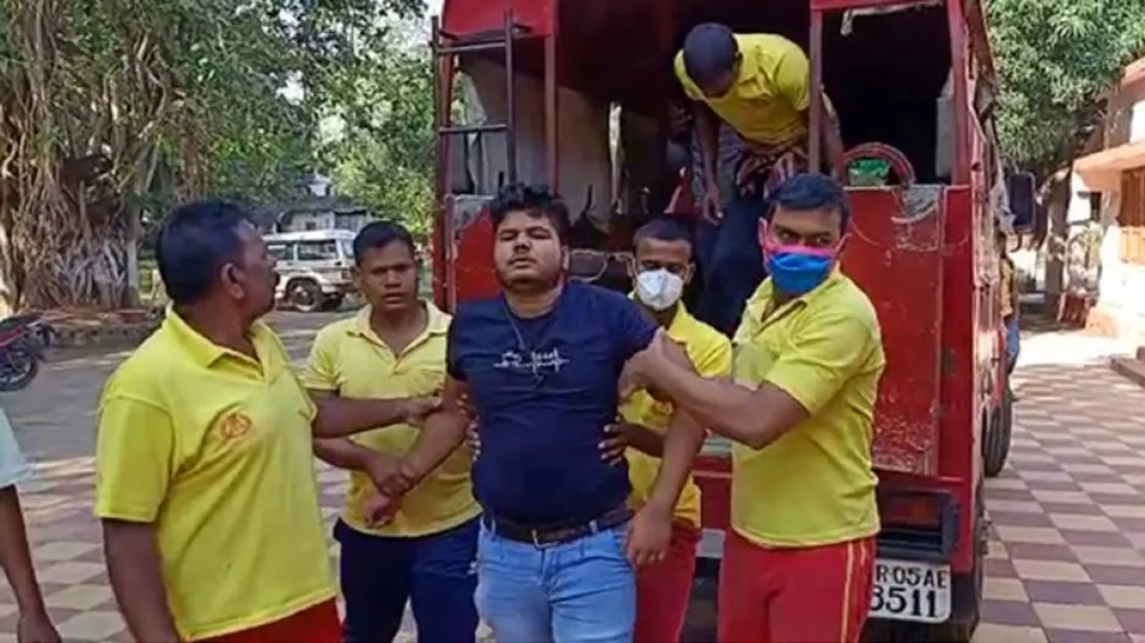 Odisha: Six Students Injured In Bee Attack In Baripada, 1 Critical