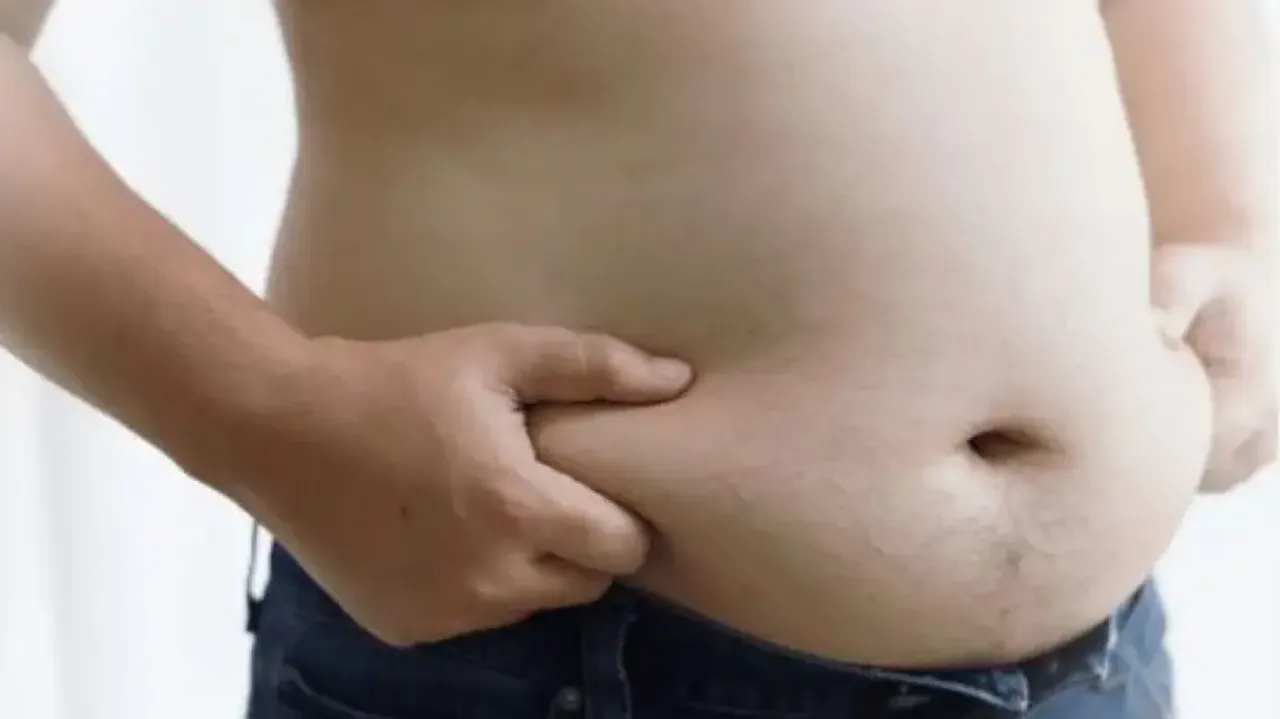 Belly Fat