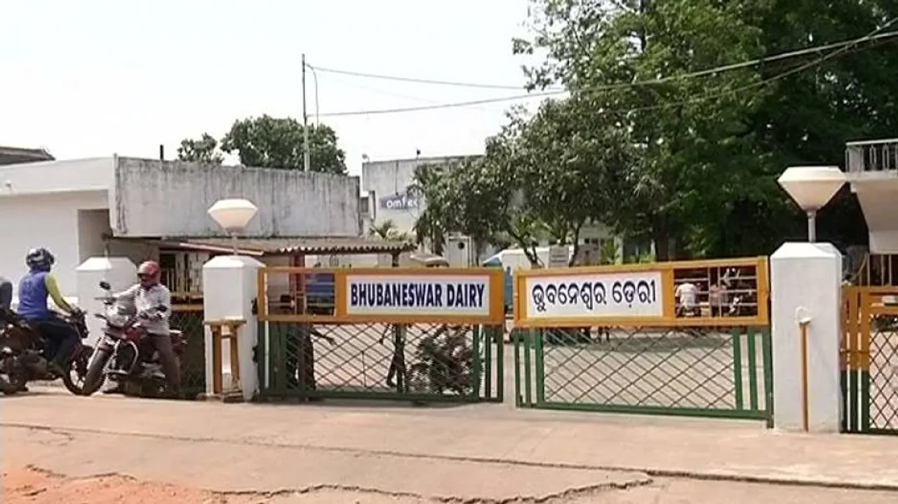 OMFED, NDDB ink pact to increase milk production in State
