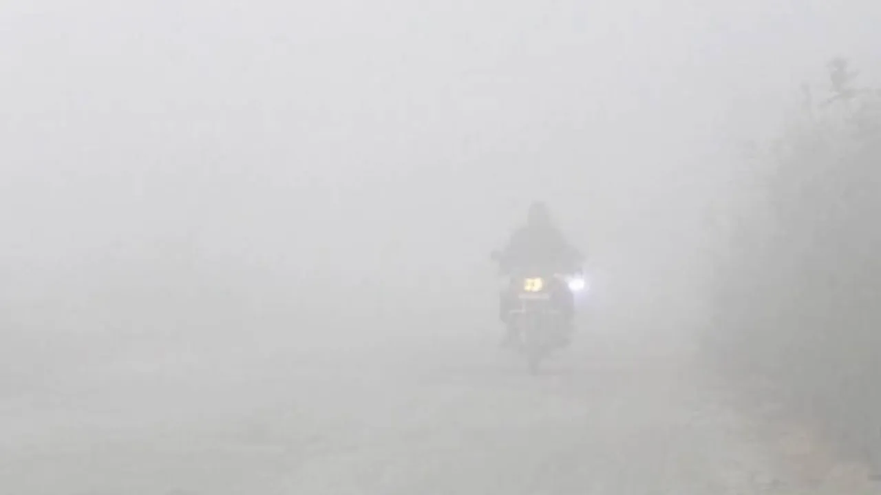 Odisha Reels Under Winter Chill, Fog Yellow Warning For Several Districts (SEE PICS)