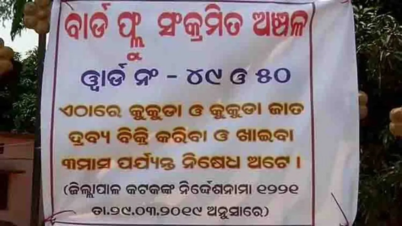 Mass culling operation begins in Cuttack after confirmation of Bird flu outbreak