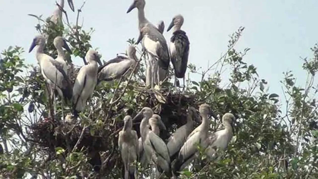 Column: Looking Beyond Chilika