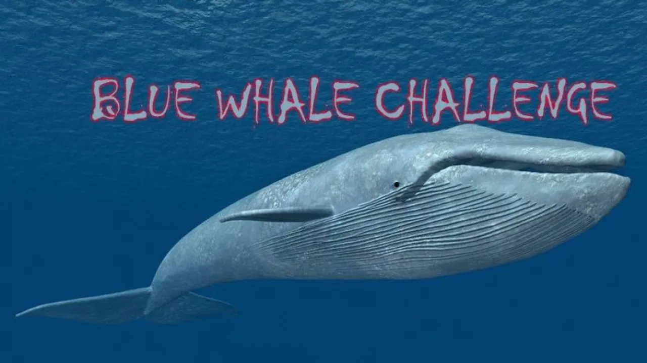Bengal teenager hospitalised after playing Blue Whale Challenge
