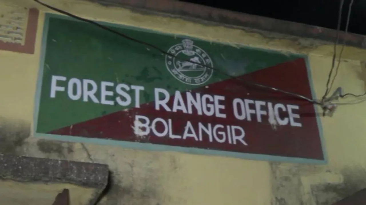 Man arrested for wild boar poaching