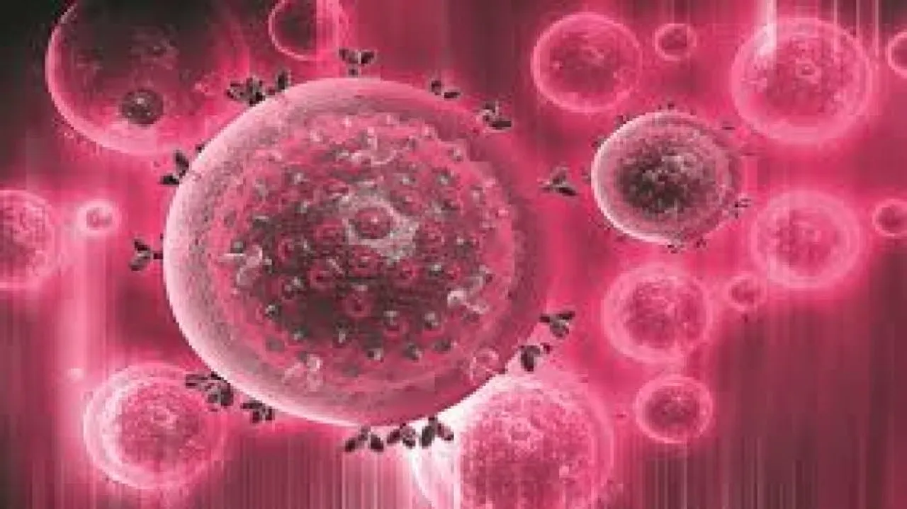 3D bone marrow to make platelets on demand