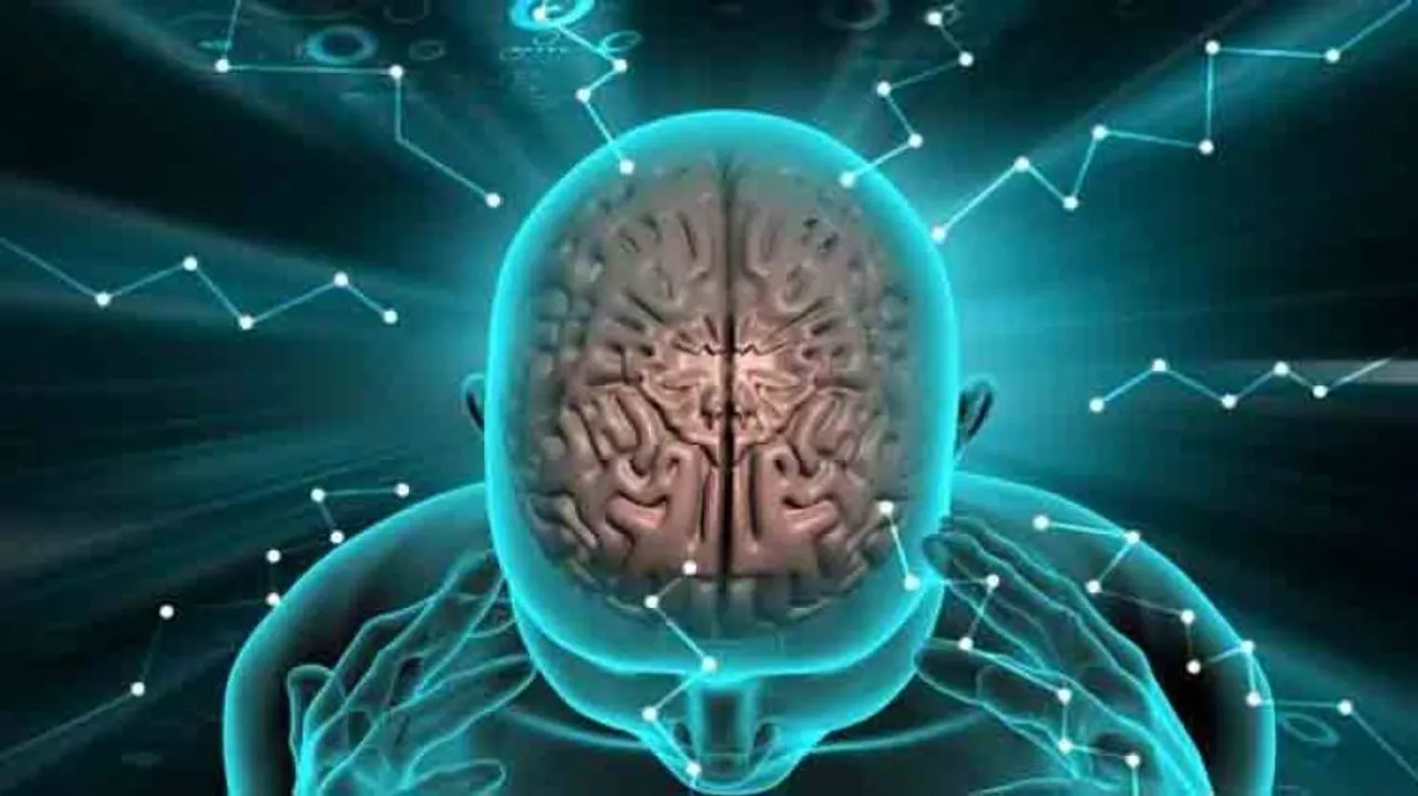 Human brains are naturally attracted to laziness: Study