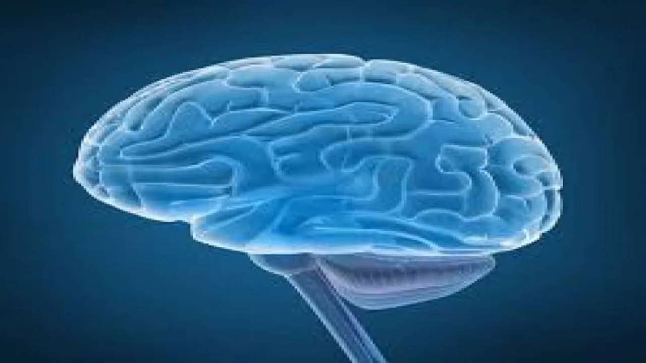 Emotionally unstable have different brain structure