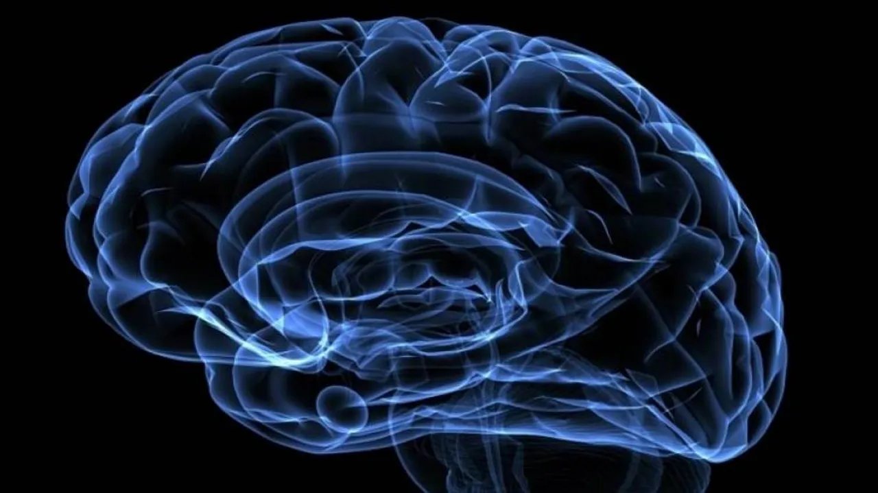 Drops In Income Can Harm Your Brain