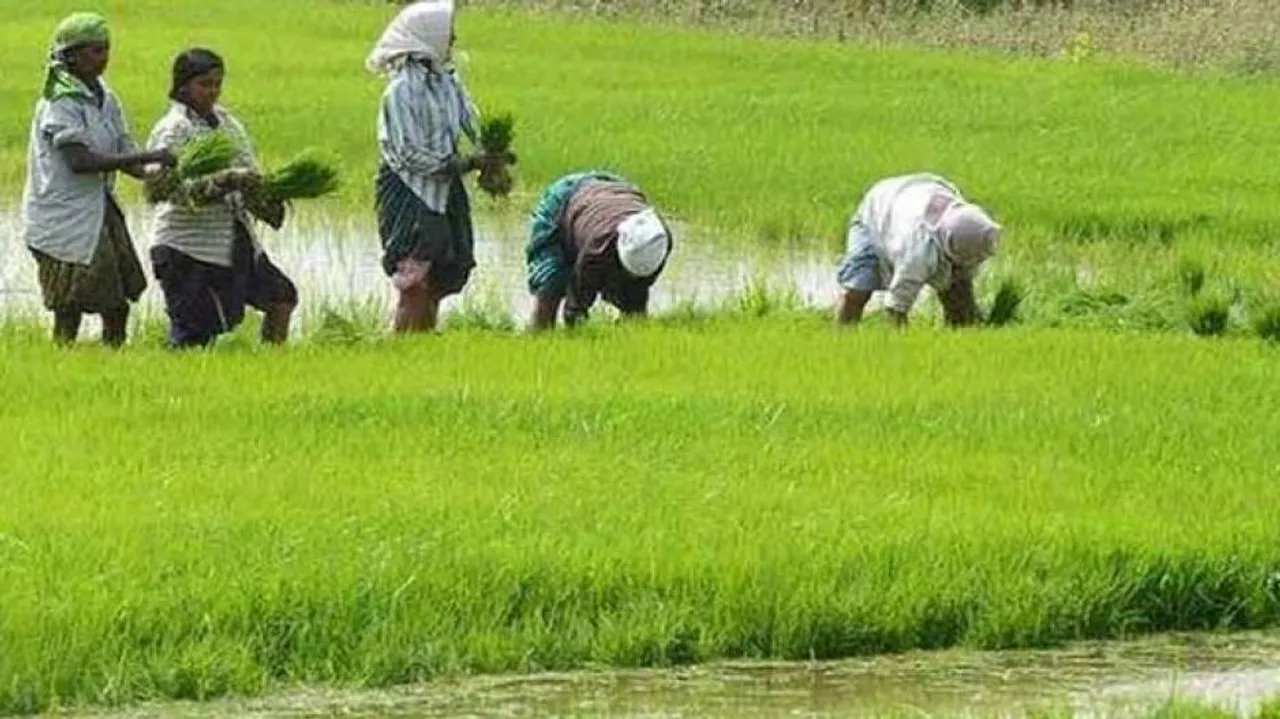 Govt committed to doubling farmers' income by 2022: FM