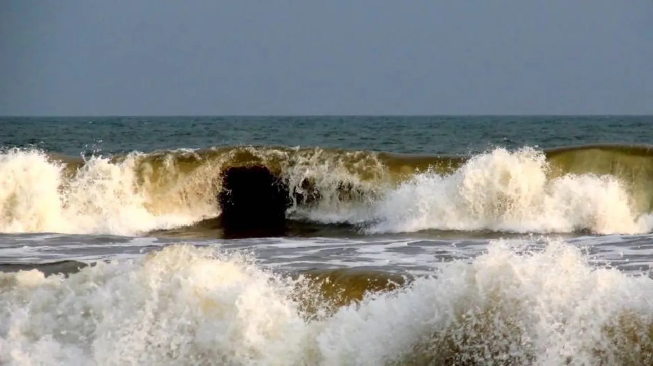 Odisha's Chandrabhaga beach becomes Asia's first to get Blue Flag certification