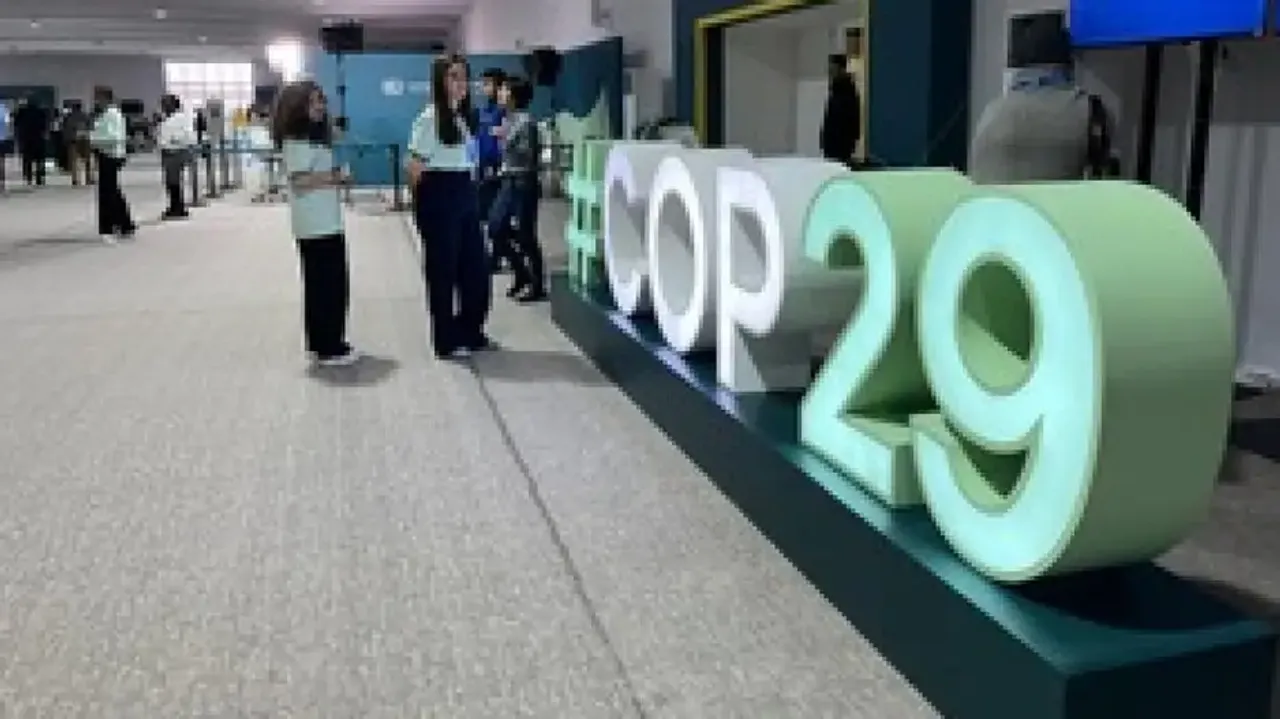 COP 29