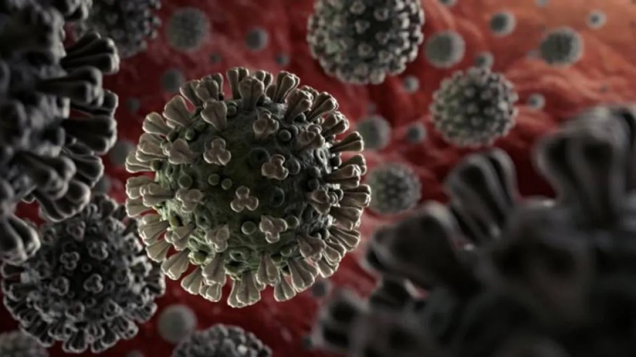 This Is How Highly Infectious Covid Variant Gets Neutralised