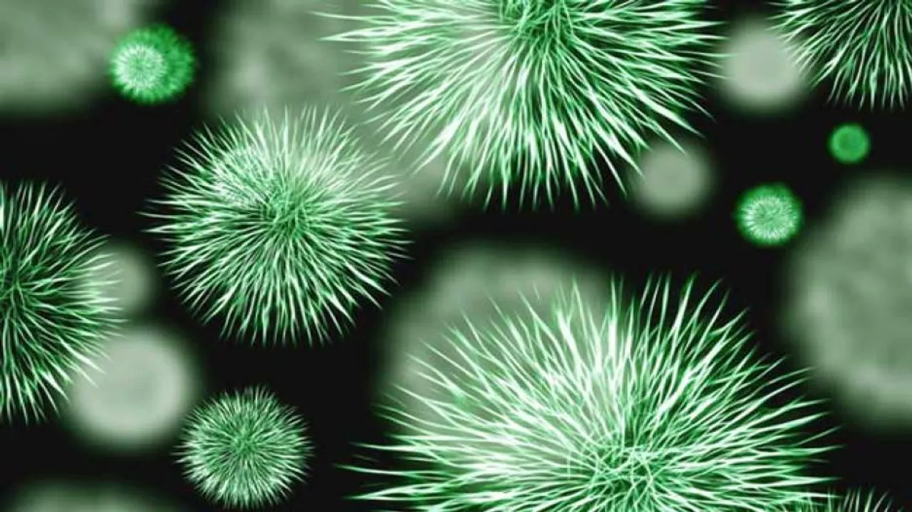 ACE2 Enzyme In Men Make Them More Vulnerable To COVID-19