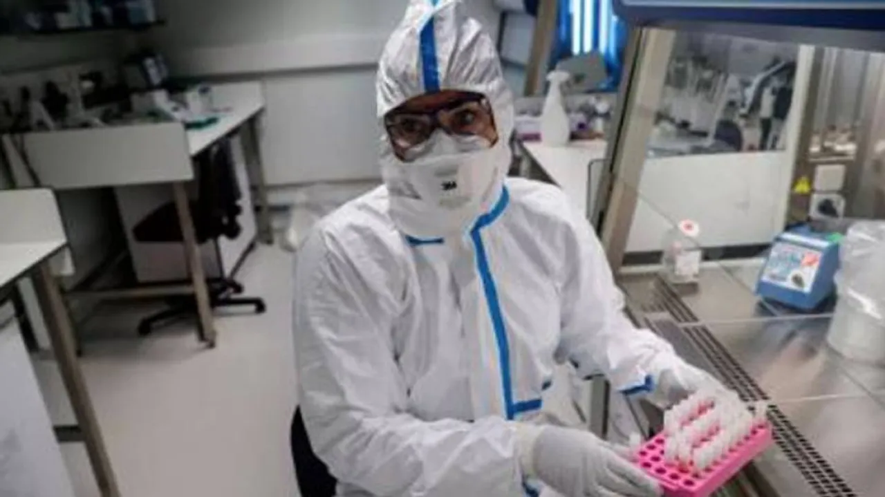 Coronaviruses Related To Pandemic Virus Found In Lab Freezers