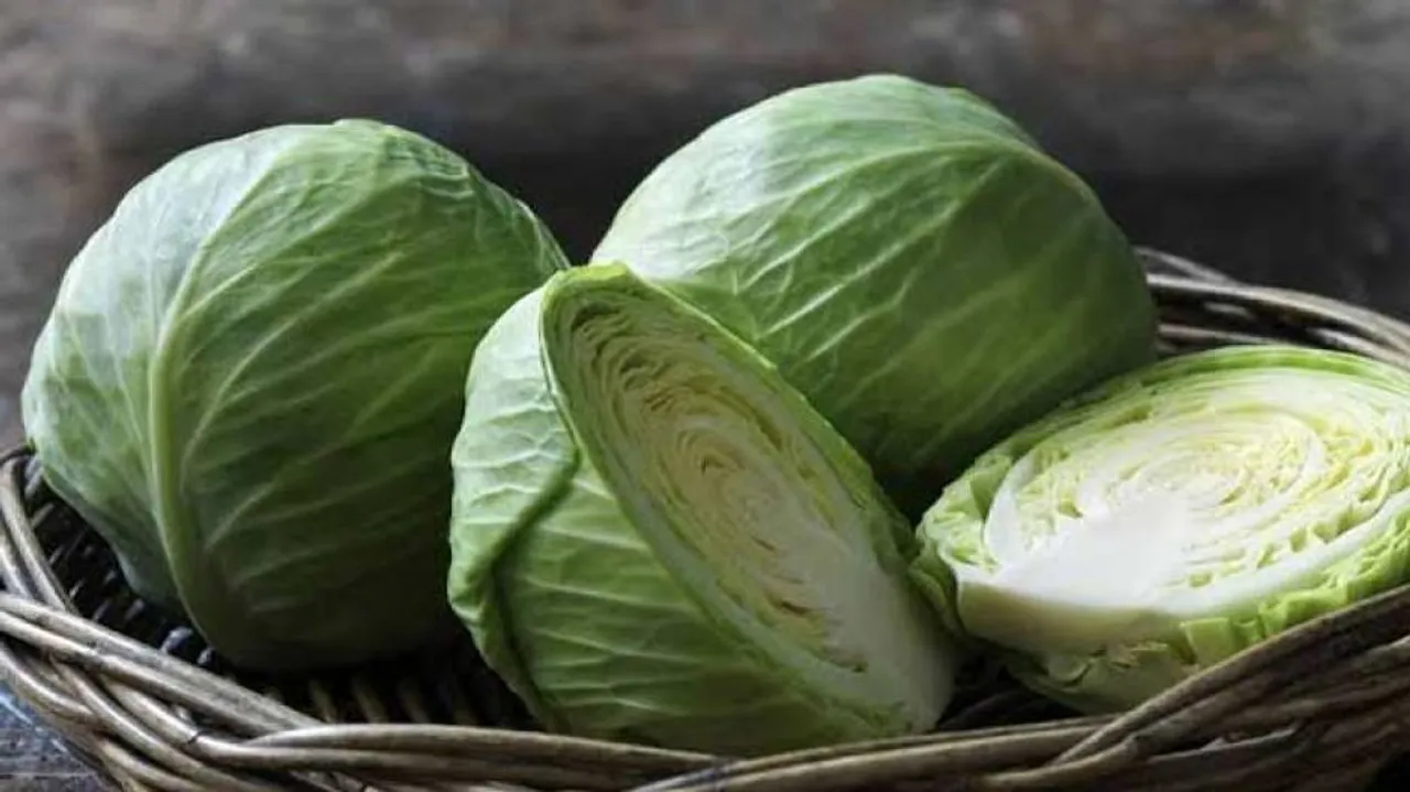 Compound In Cabbage Helps Fight Fatty Liver Disease