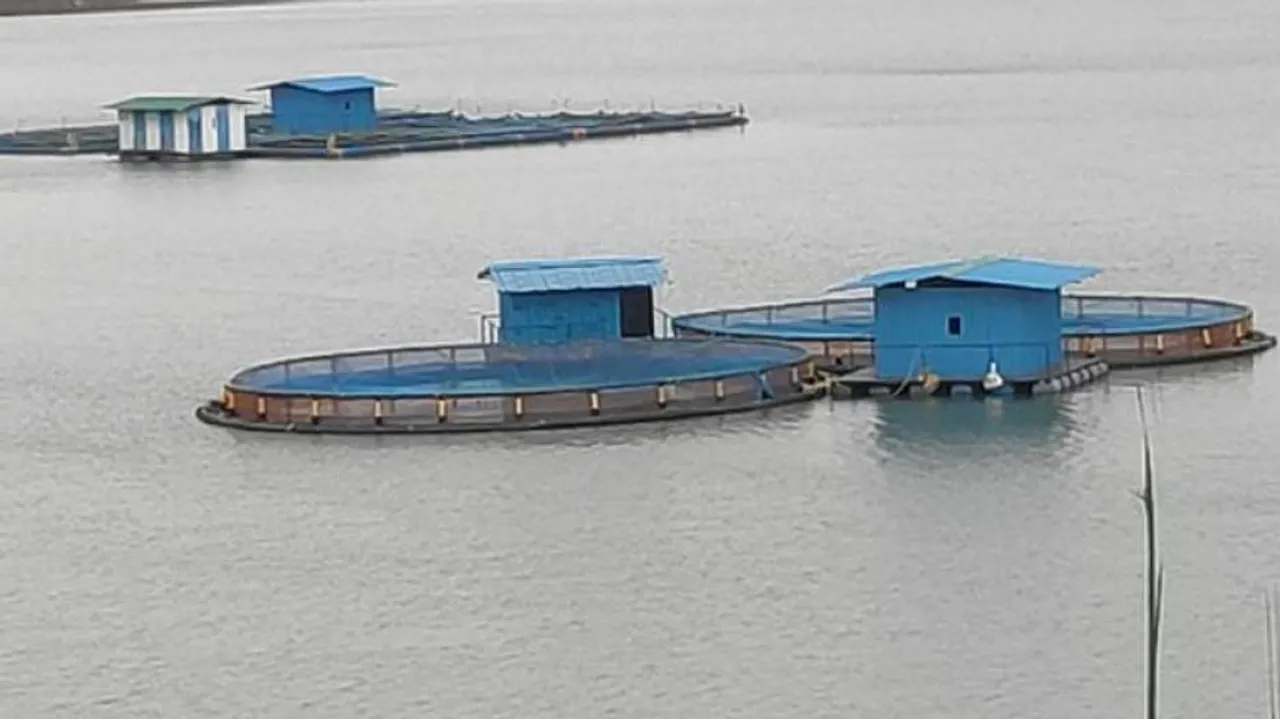 Odisha Plans Cage Aquaculture In Hirakud, Other Reservoirs To Boost Catch