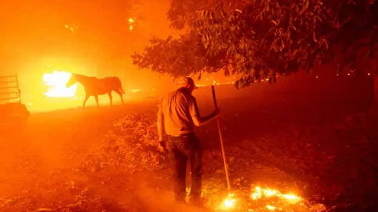 California Wildfires: Donald Trump Declares Havoc As Major Disaster
