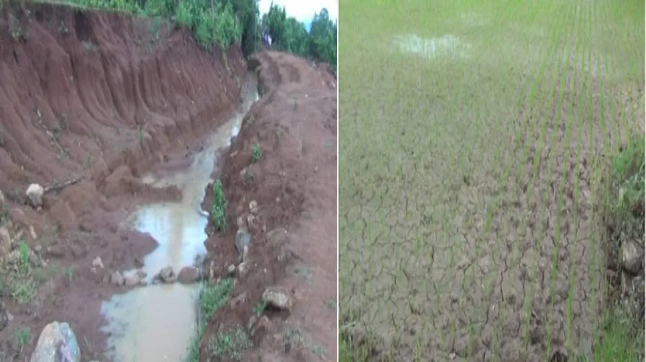 Shoddy Irrigation Canal Work Leaves Kandhamal Farmers In Lurch