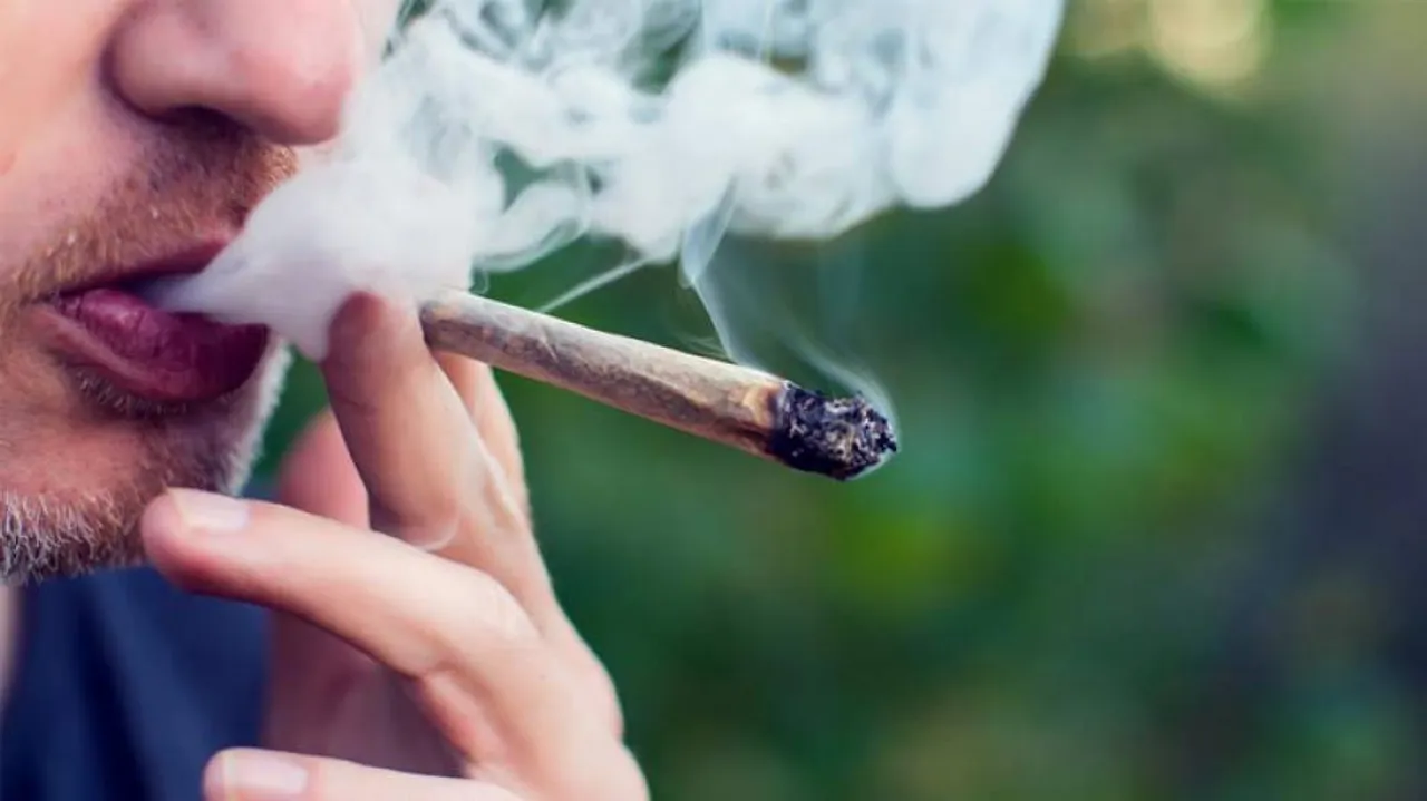 Increased Testicular Cancer Risk In Regular Cannabis Smokers