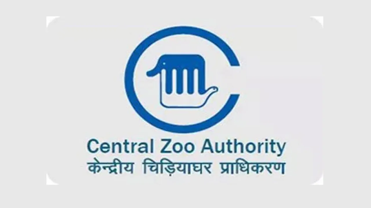 Zoos In India Put On 'Highest' Alert After Tiger In US Tests Positive For Coronavirus
