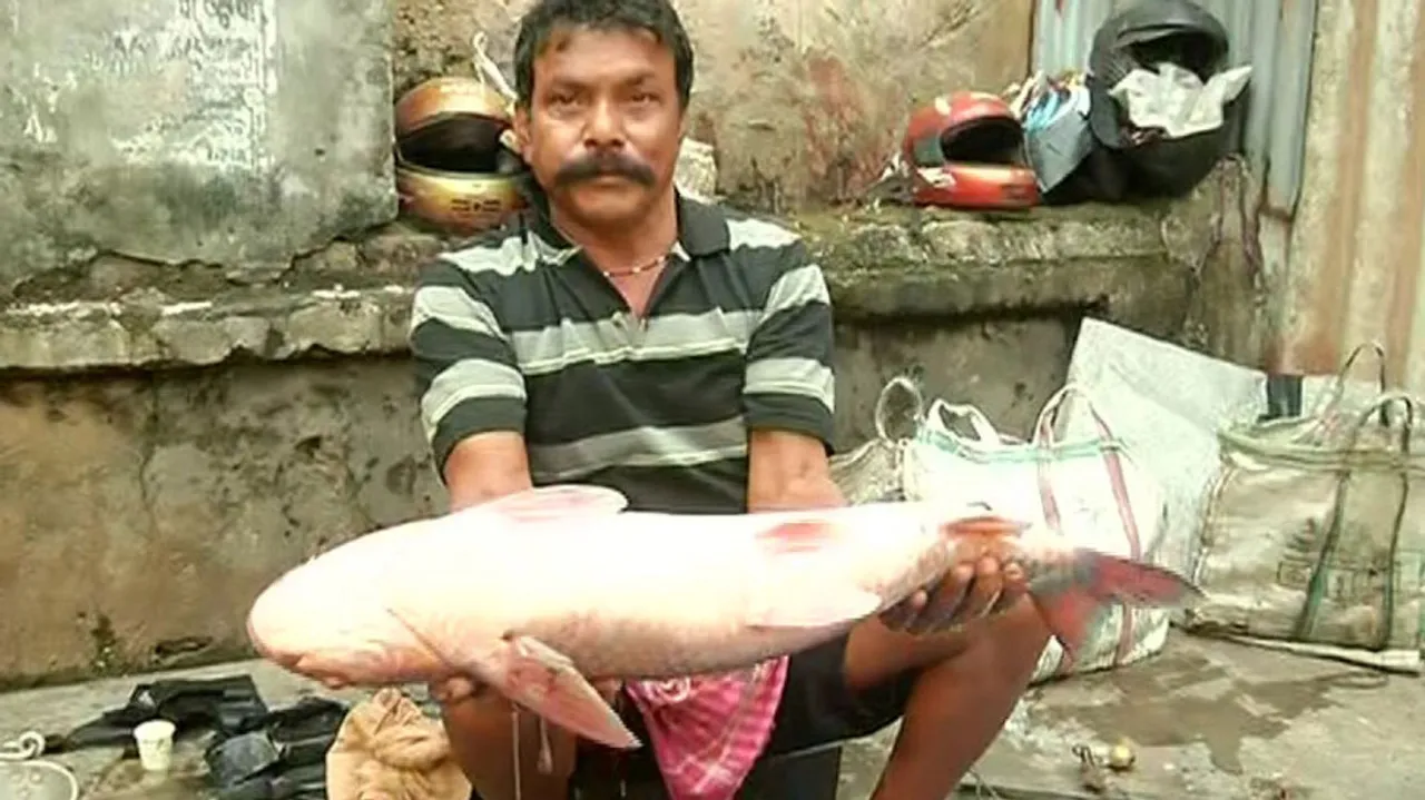 Chadakhai