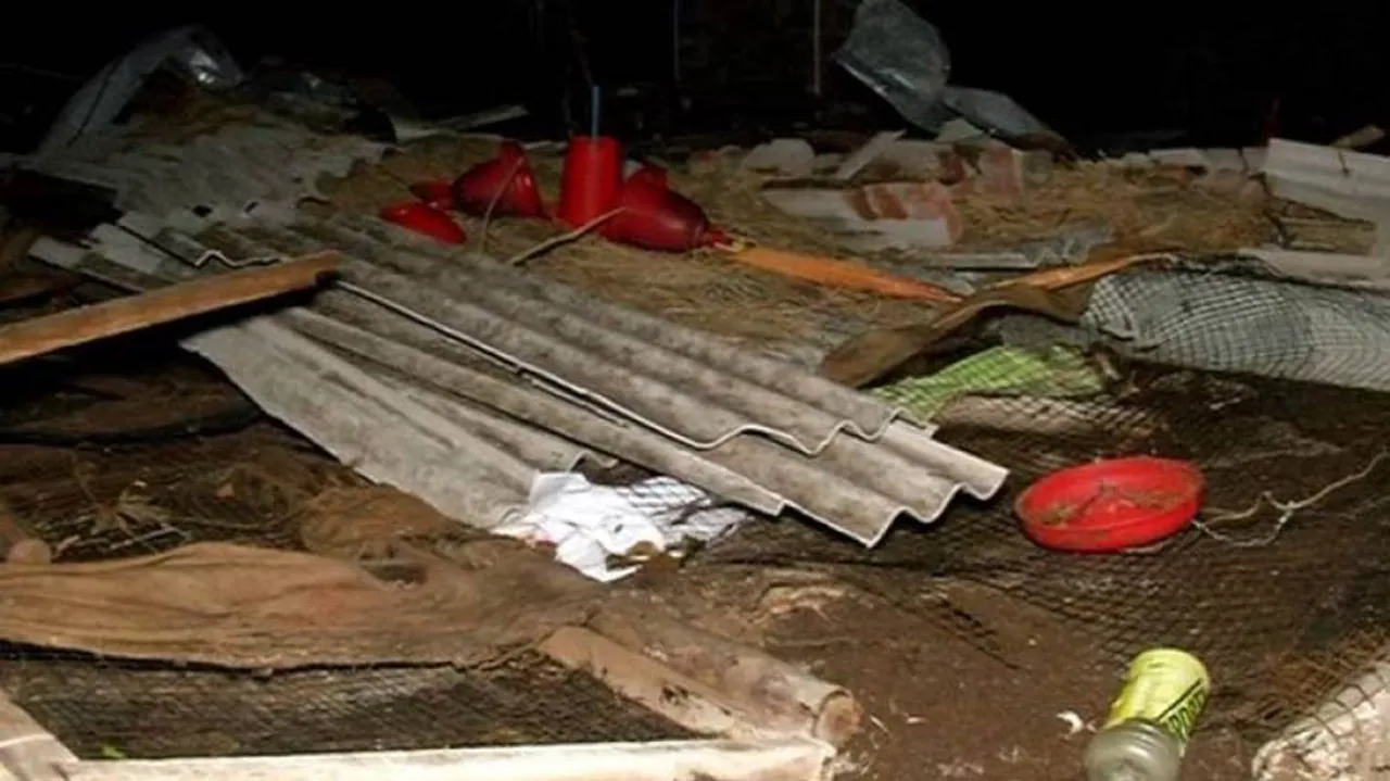 Livestock, poultry bear brunt of cyclone Fani