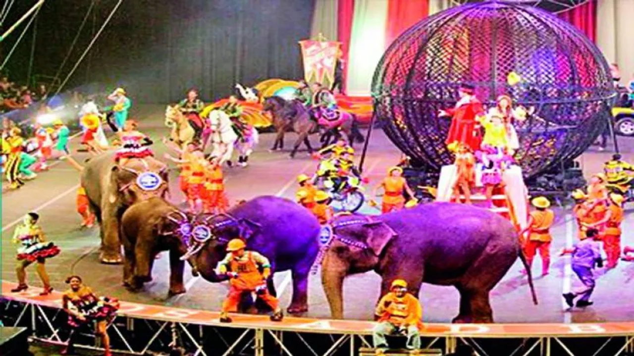 Circus On The Verge Of Extinction Due To Coronavirus Spread