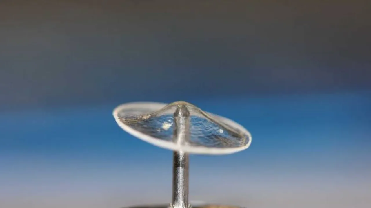 Australian researchers use silkworms to repair damaged eardrums