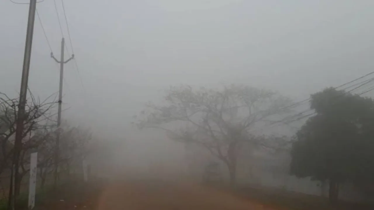 Cold Wave: IMD Issues Orange Alert, Heavy Rainfall Warning