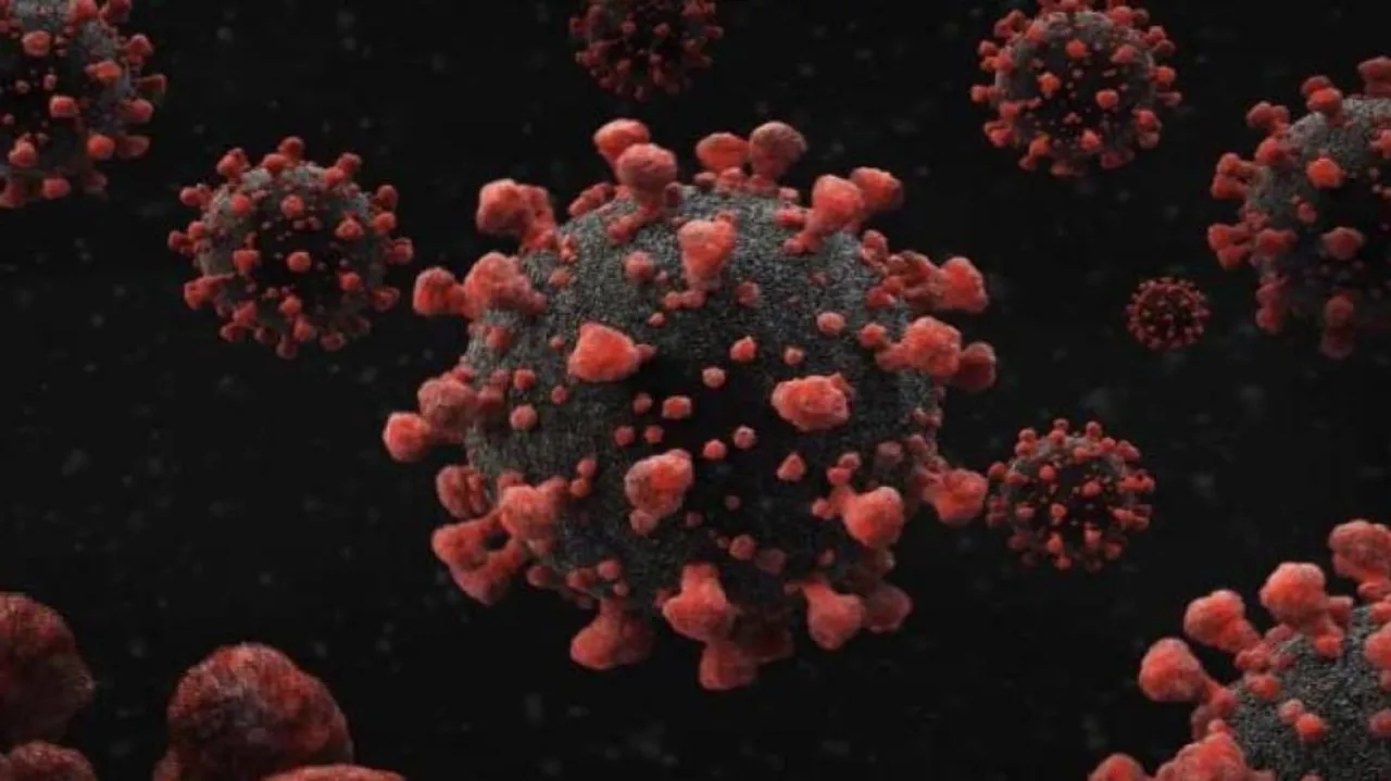 Odisha Records Highest COVID-19 Cases As 34 More Test Positive On A Day