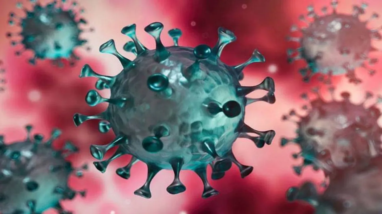 Coronavirus Live Updates: Odisha To Increase COVID-19 Testing Five-Fold