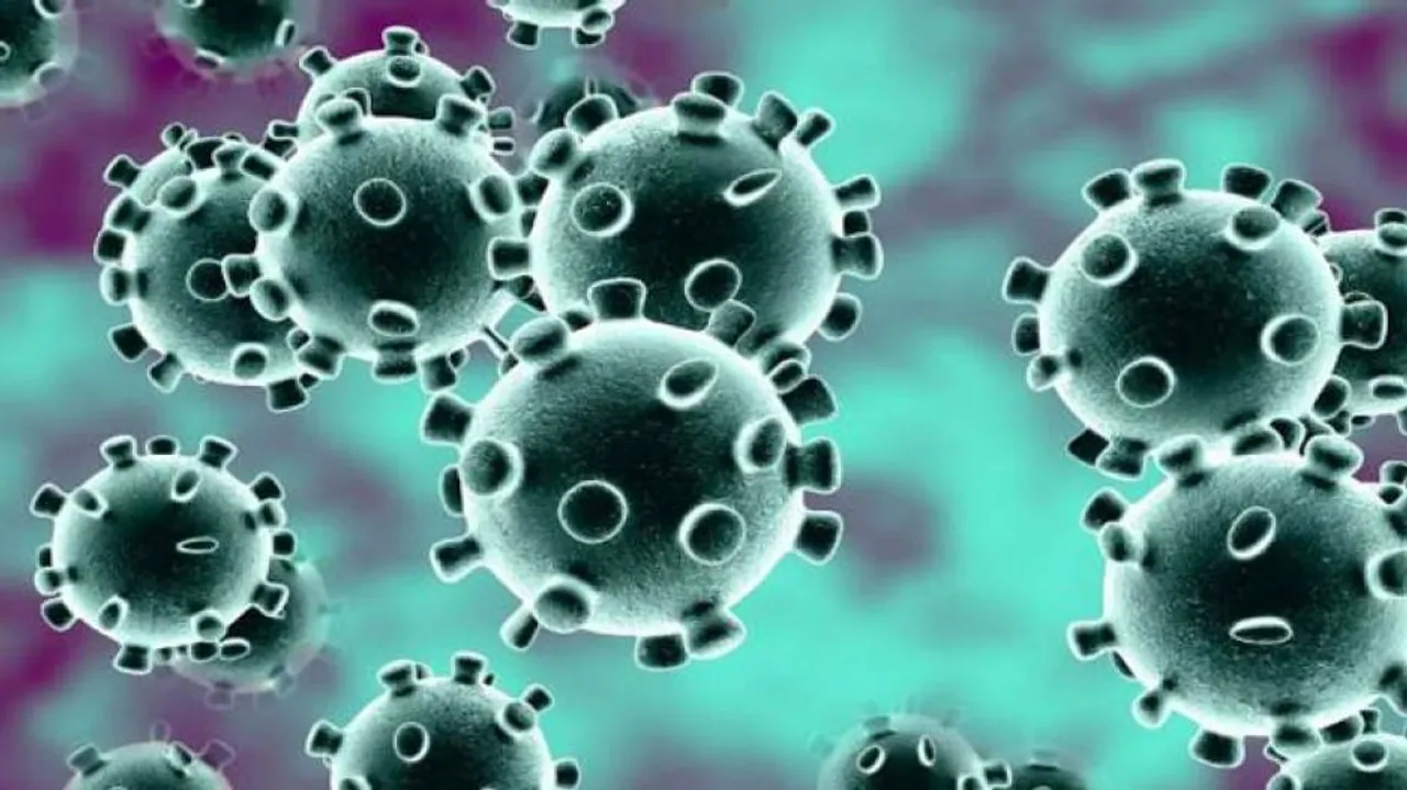 COVID-19 Outbreak: Goa unearths its own 'patient number 31'