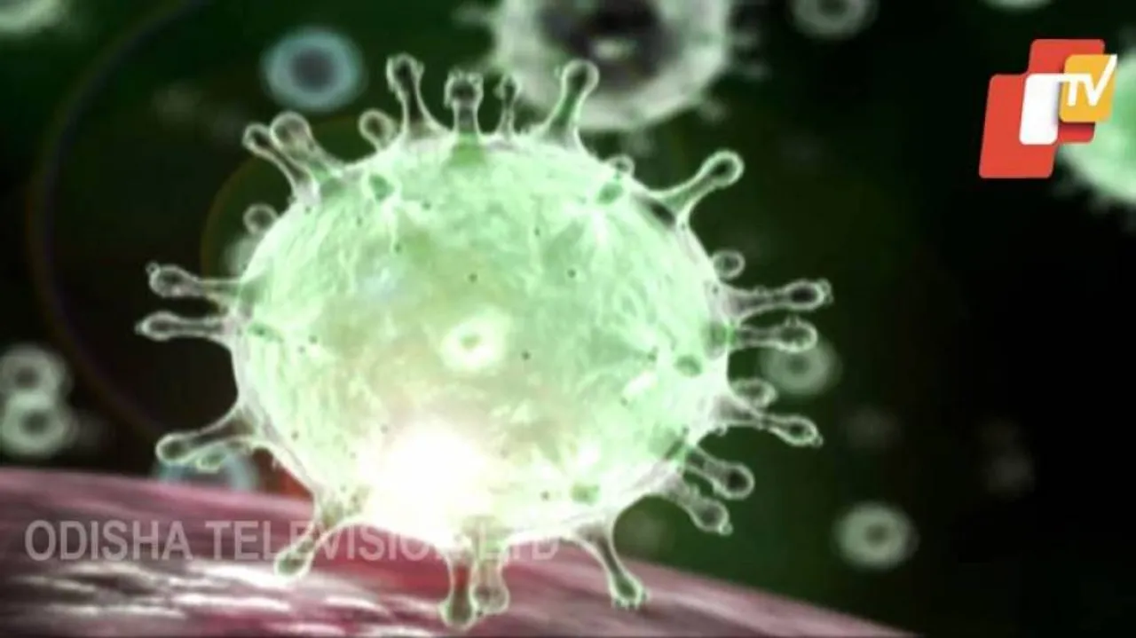 COVID-19: WHO Recommends 10 Basic Preventive Measures
